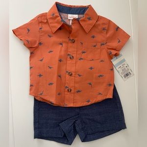 Cat and Jack Dinosaur Shirt and Shorts Set